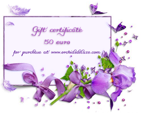 Gift certificate 50 euro